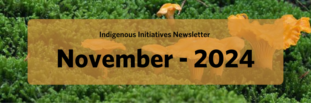 Indigenous Initiatives Newsletter - November 2024