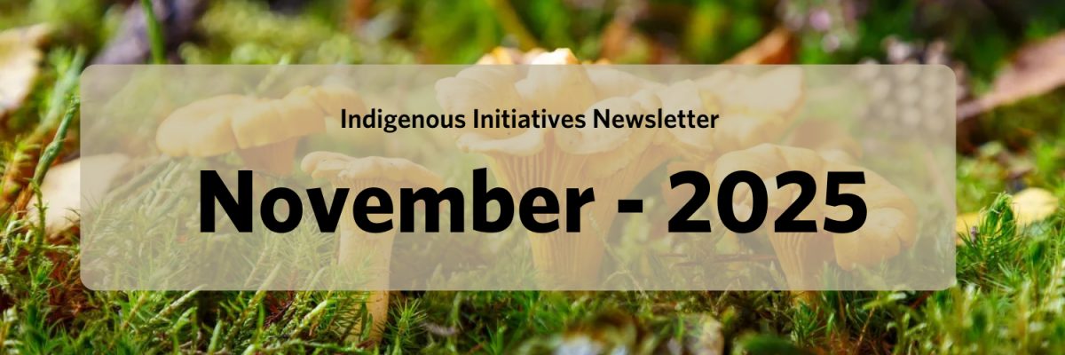 Indigenous Initiatives Newsletter, November 2025
